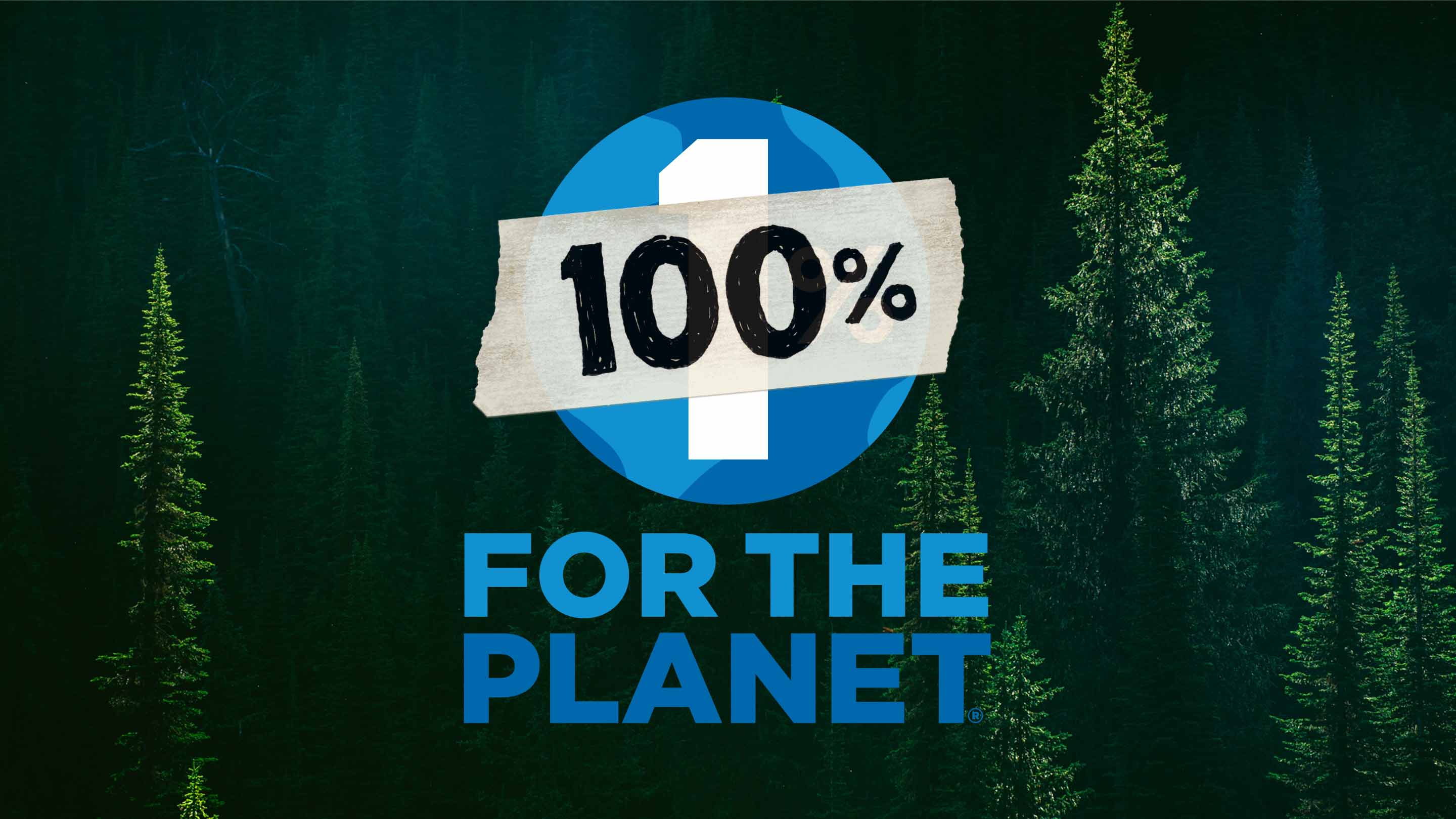 Patagonia 100% for the planet